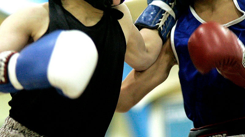 (A CTV News file image of two boxers) 