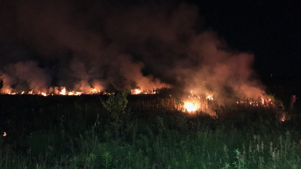 A large brush fire ignited south of London along Colonel Talbot Road on Thursday, June 24, 2021. (LFD Twitter)