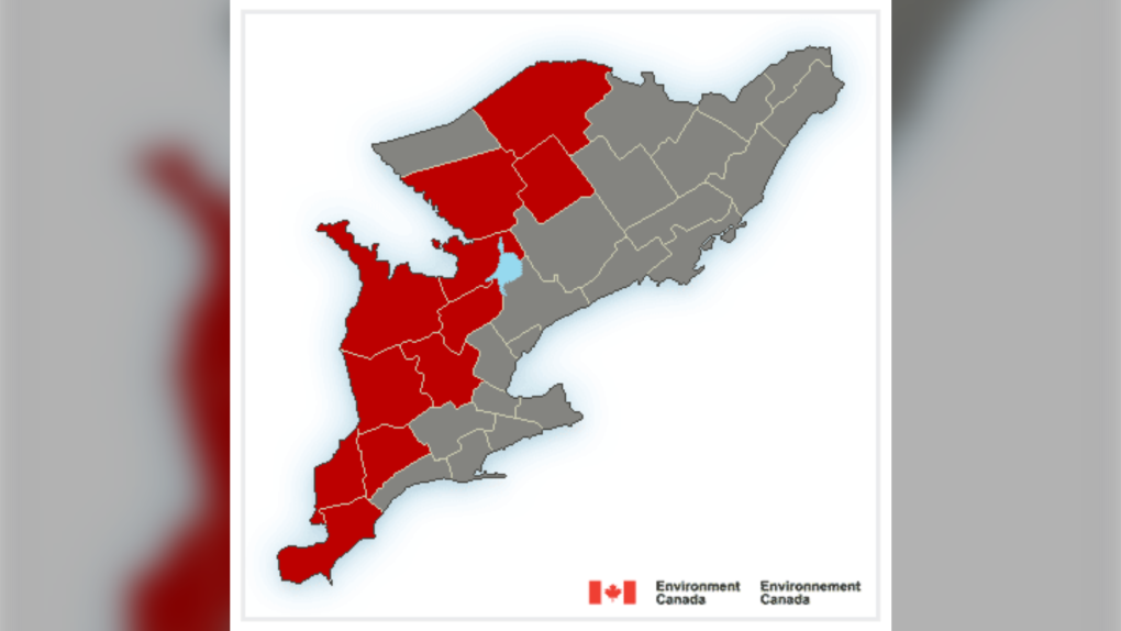 Rainfall watches and warnings in effect CTV News