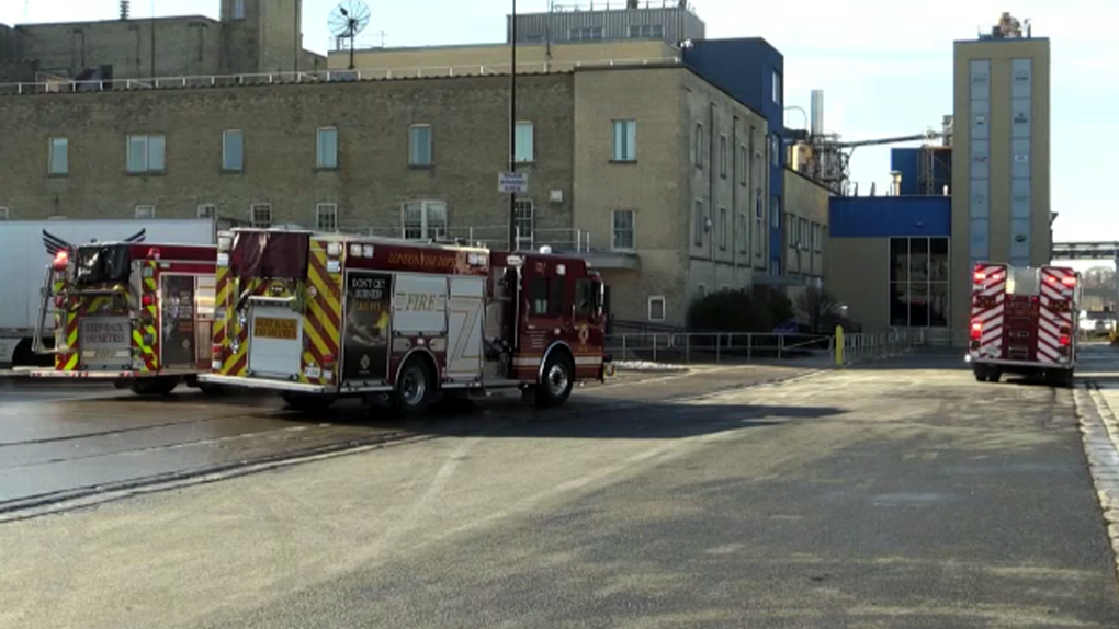 First responders attended the Labatt Brewery on Nov. 30, 2023 for an ammonia leak. (Jim Knight/CTV News London) 