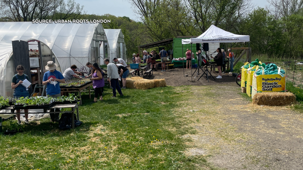Urban Roots London, Ont. opened two new greenhouses on May 13, 2023. (Source: Urban Roots London)  