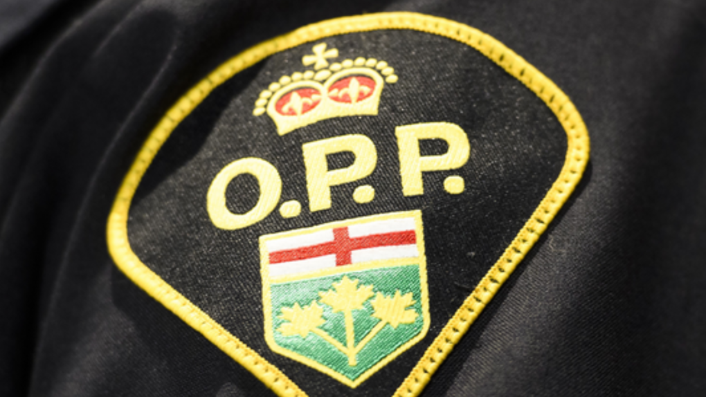 A photo of an OPP logo (file).