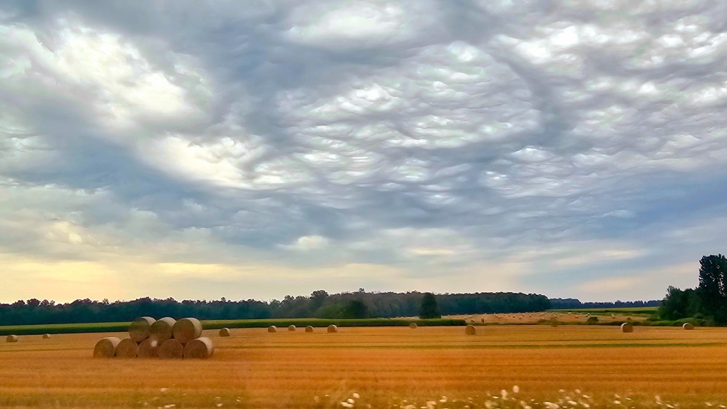 London Ontario weather forecast CTV News