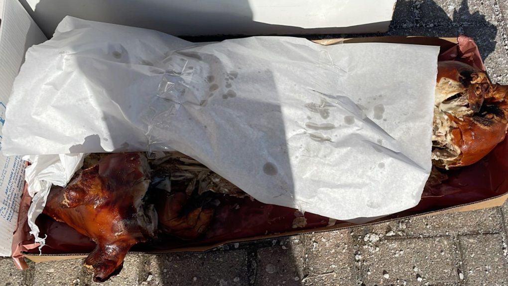 Owner speaks out after pig carcass left outside London Halal grocery store