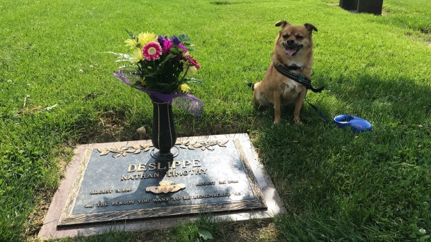 Gizmo at the Grave