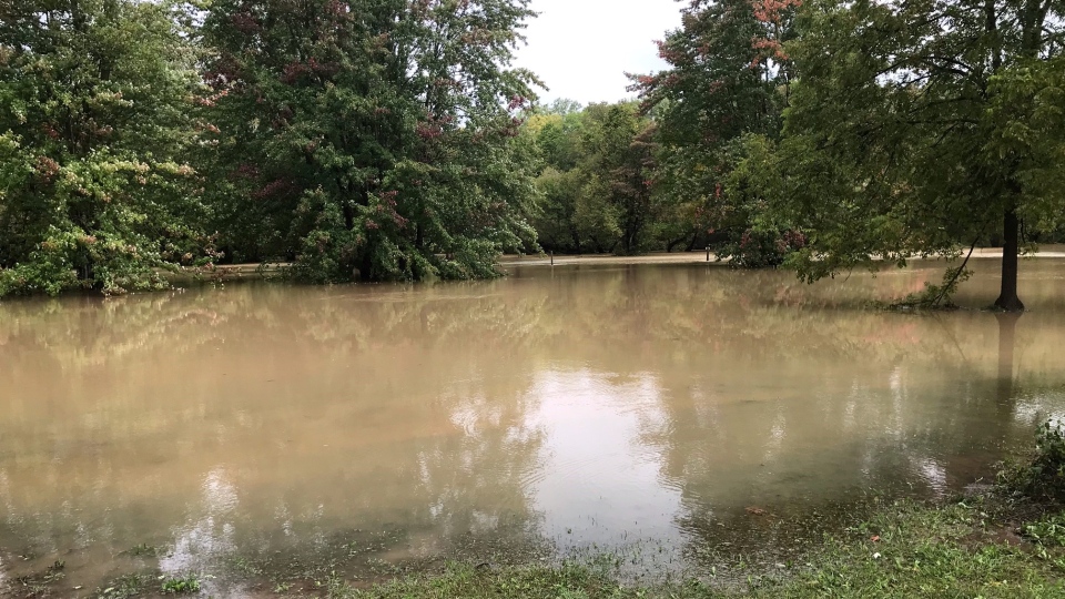 Shady Pines campground